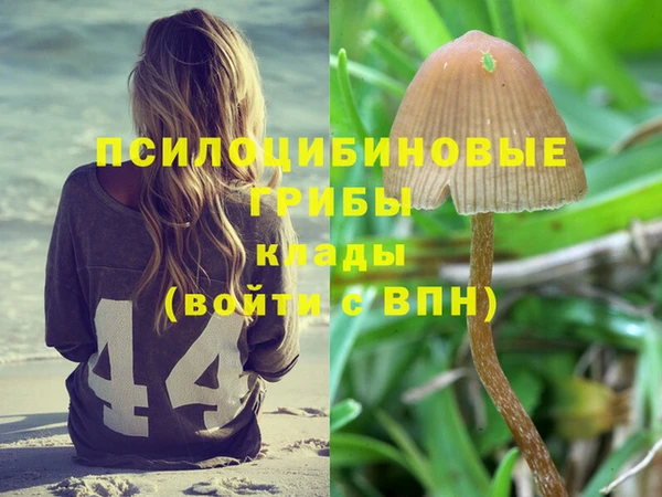 стаф Нягань