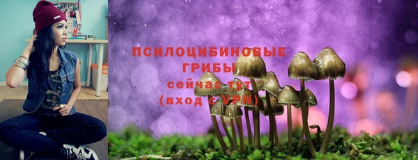 первитин Новодвинск