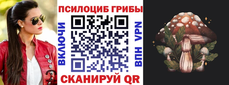 Галлюциногенные грибы ЛСД  где купить наркотик  Петровск 