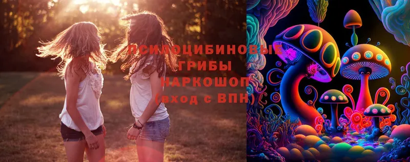 Псилоцибиновые грибы Magic Shrooms  цены   Петровск 