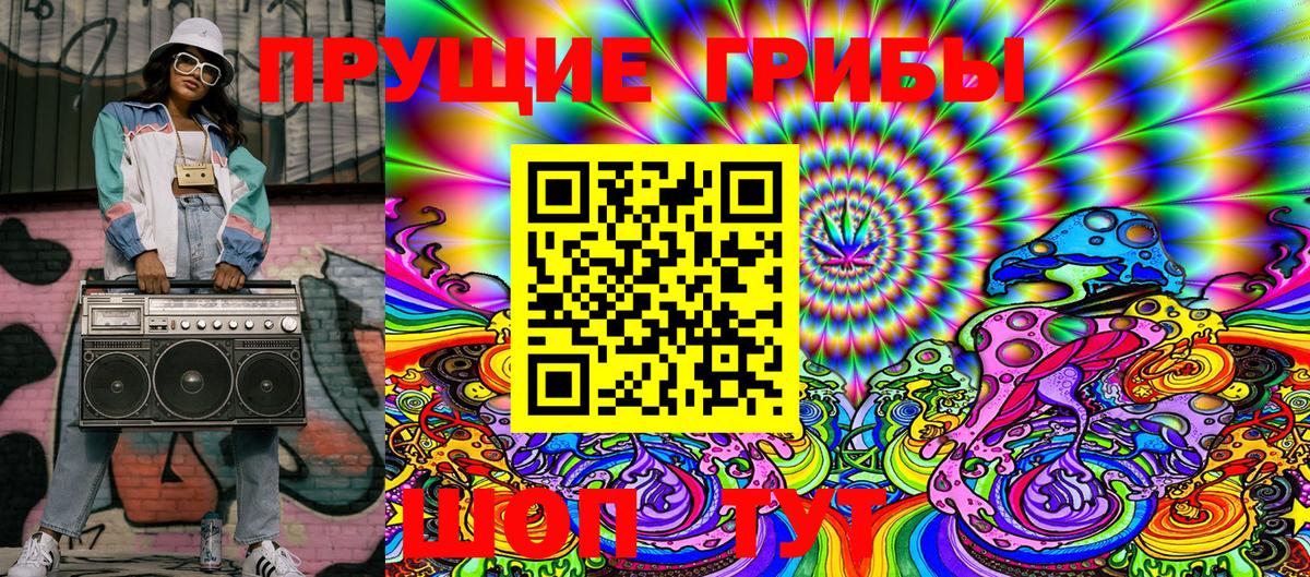 Галлюциногенные грибы мицелий  Петровск  Псилоцибиновые грибы прущие грибы 