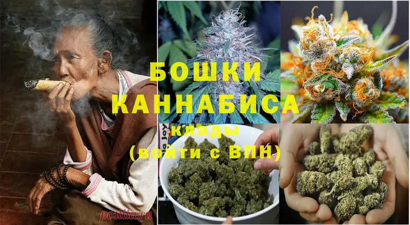 Канабис Bruce Banner  Петровск 